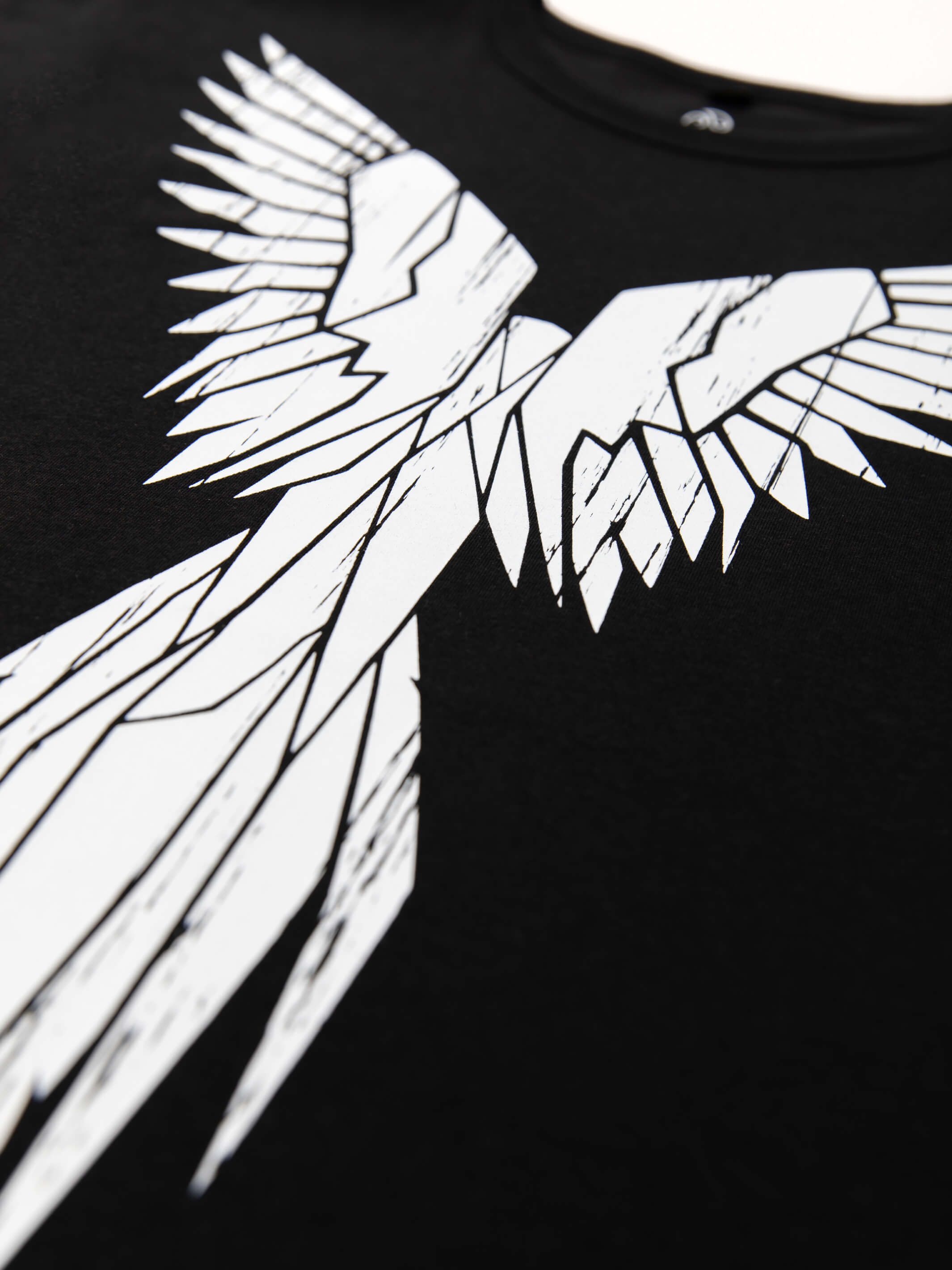 Phoenix T-Shirt - TOMOTO #colour_black