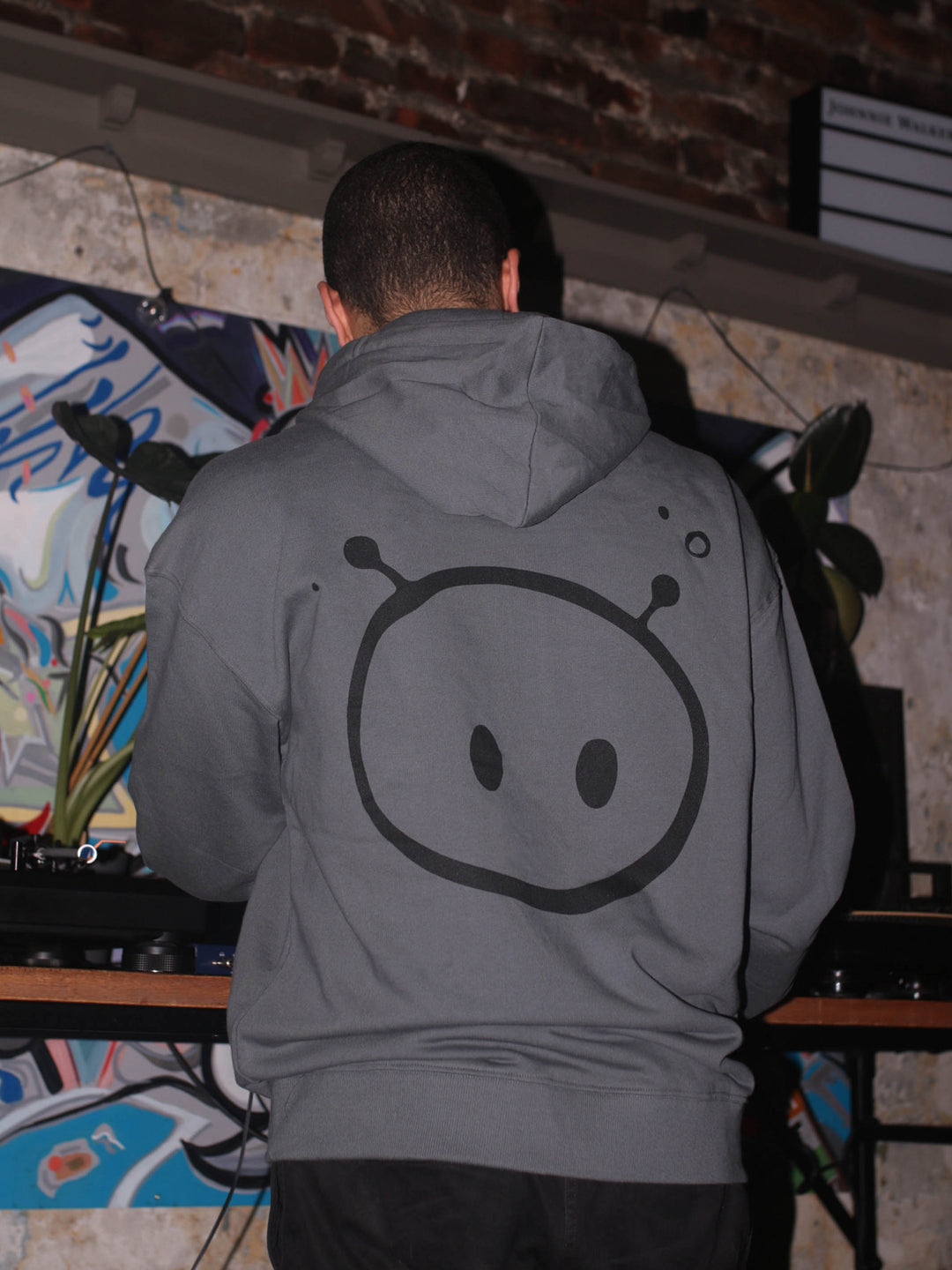 Alien Pullover Hoodie (SALE)