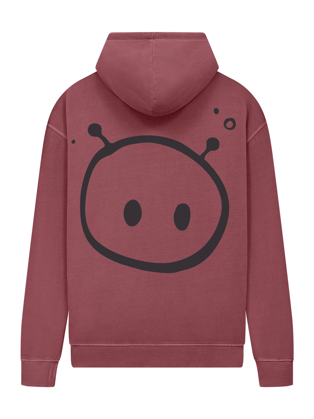 Alien Pullover Hoodie
